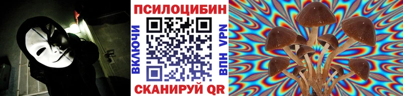 Купить  Демидов  Псилоцибиновые грибы мухоморы 